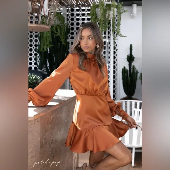 Petal & Pup NWT Rust Orange Satin Torena Dress - Picture 2 of 7